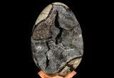 Septarian Dragon Egg Geode - Black Crystals #67782-1
